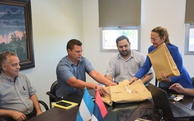 Licitación pública SEM: Apertura de sobres