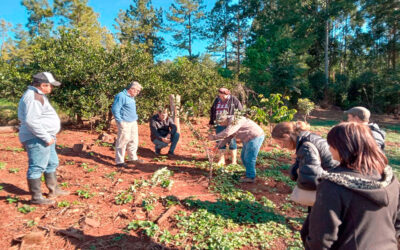 Jornada de Capacitación en Poda de Árboles