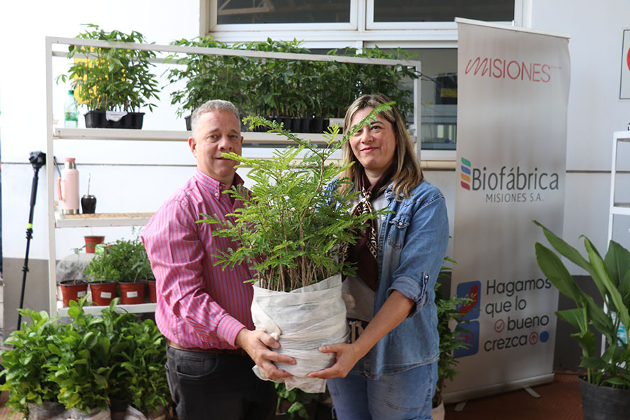 Entrega de Plantines a Productores y Establecimientos Educativos en BioFábrica Misiones