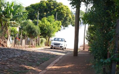 Seguimos fumigando distintos barrios para combatir el dengue