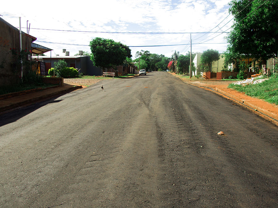 Trabajos de asfaltado – Calle Las Camelias