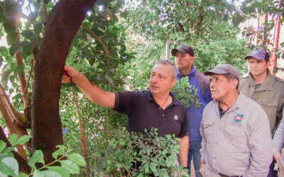 Capacitamos a nuestro equipo de maestranza en buenas prácticas de poda urbana