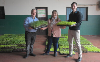 Entrega de plantines hortícolas a feriantes de Alem
