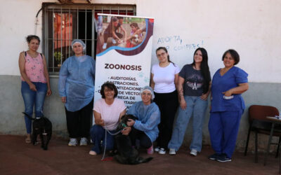 Jornada de castraciones y vacunación en la Dirección de Zoonosis