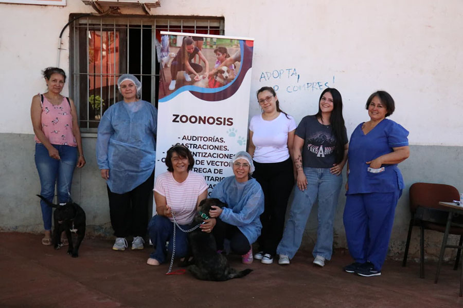 Jornada de castraciones y vacunación en la Dirección de Zoonosis