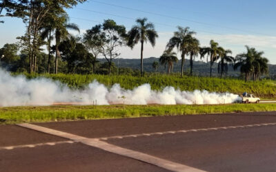 Programa de Prevención, Control y Erradicación del mosquito Aedes aegypti