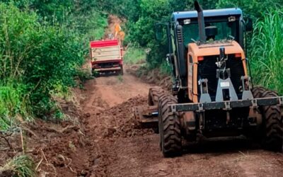 Avanza la mejora de la circulación en Picada León
