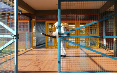 Fumigación preventiva en la Escuela N.º 845