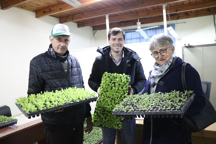 Entrega de plantines para fortalecer la producción local en Alem
